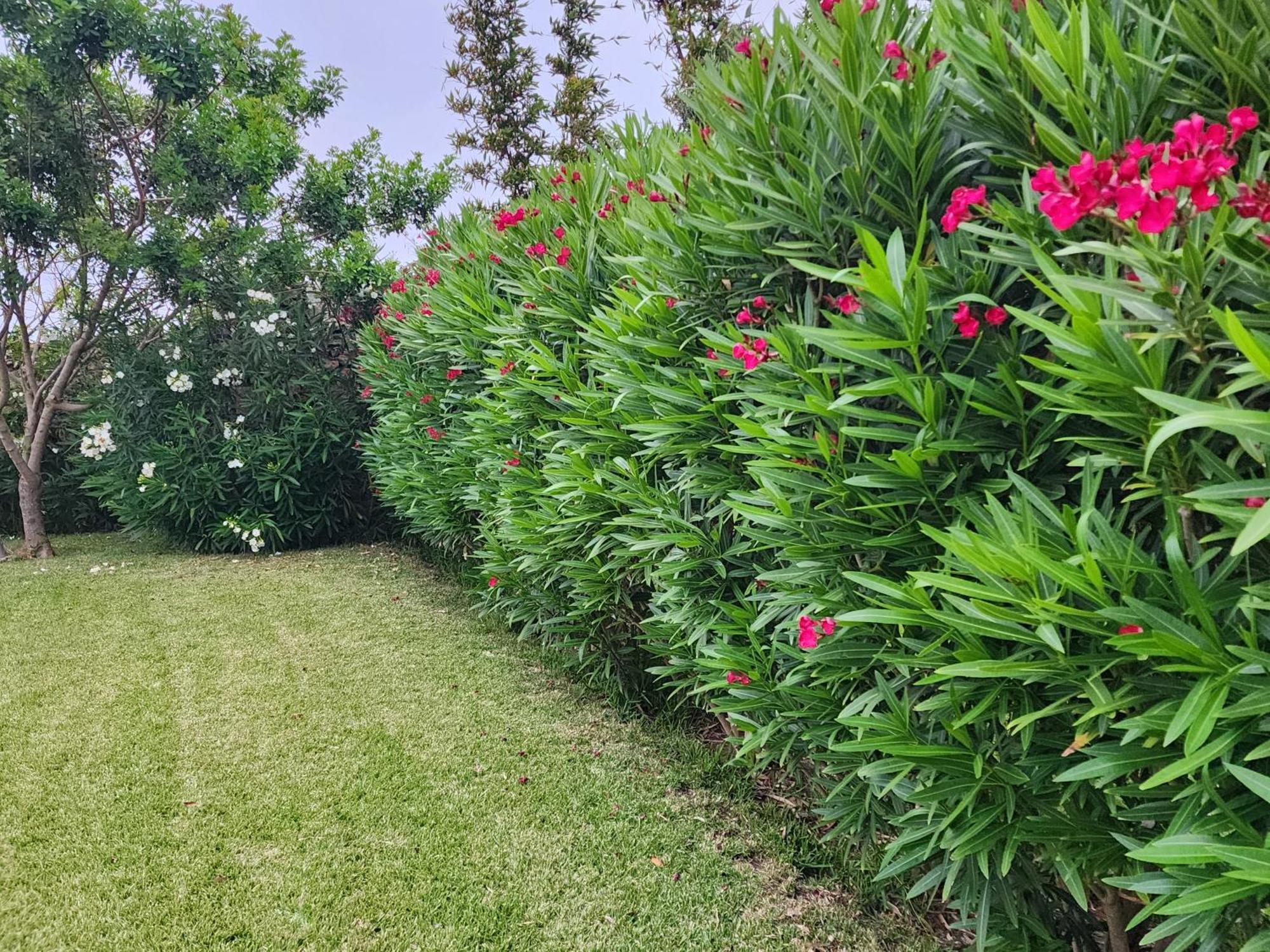אולידיה La Villa Joubert מראה חיצוני תמונה
